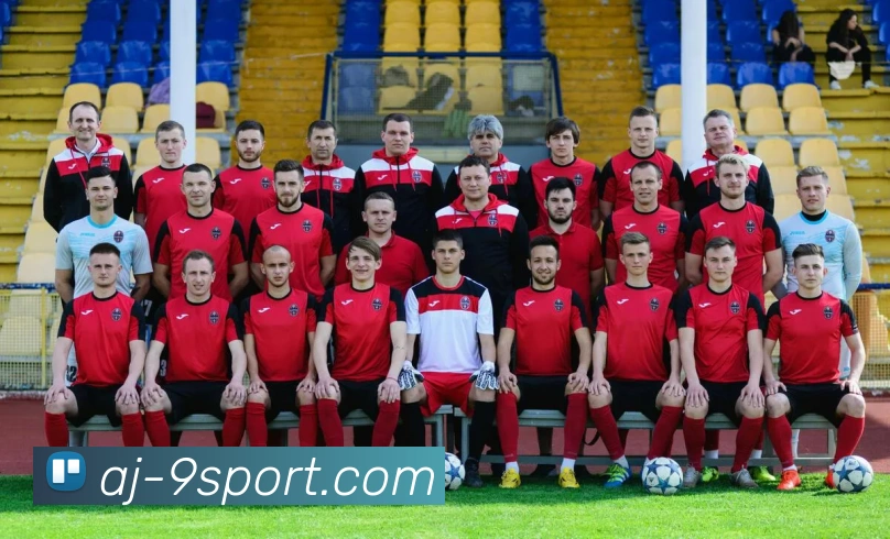 九游体育官网平台生态图