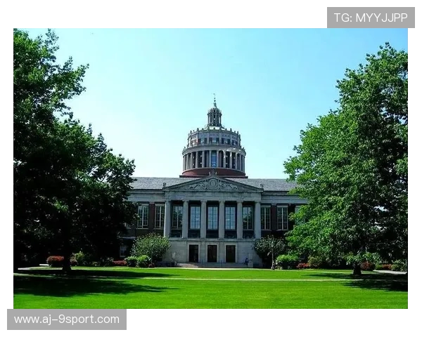 如何像白鲨一样成为顶尖游戏高手提升技能与战术思维的全面指南